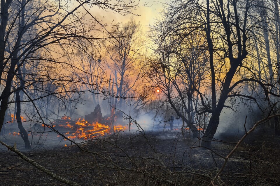 Skogsbranden i den avspärrade zonen nära kärnkraftverket i Tjernobyl.