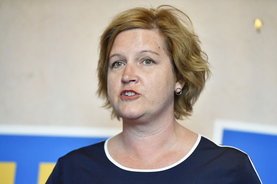 Karin Karlsbro, Liberalernas toppkandidat i EU-valet, riskerar att få stanna hemma. Arkivbild.