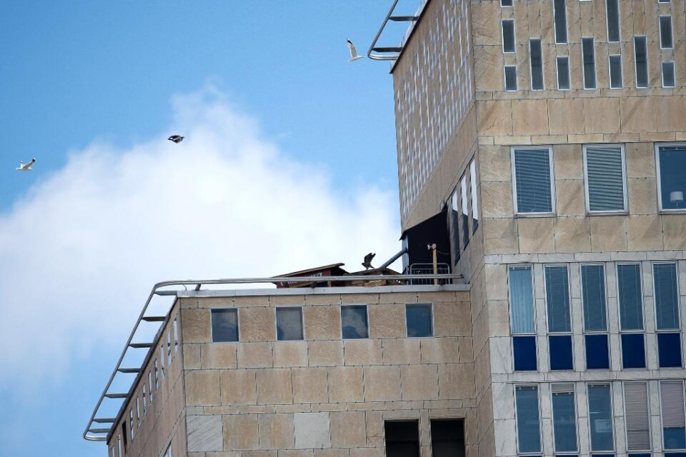 En av de tre pilgrimsfalkar som nyligen flyttade in på Folksamskrapans tak på Södermalm i Stockholm är död. Fågelungen skrämdes av trutar, kraschade in i en fönsterruta på en innergård och dog, skriver DN. - Det är sorgligt och jättejobbigt. Men man får