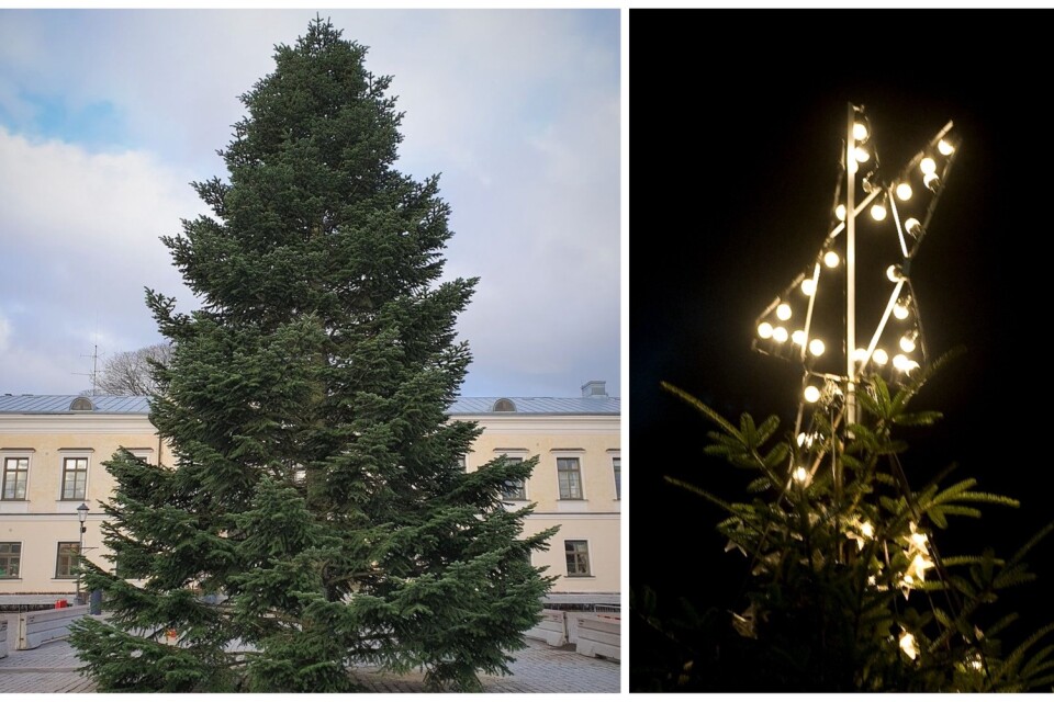 Årets julgran är på plats på Stortorget i Växjö. Nu ska den få belysning och julkulor innan den 25 november.