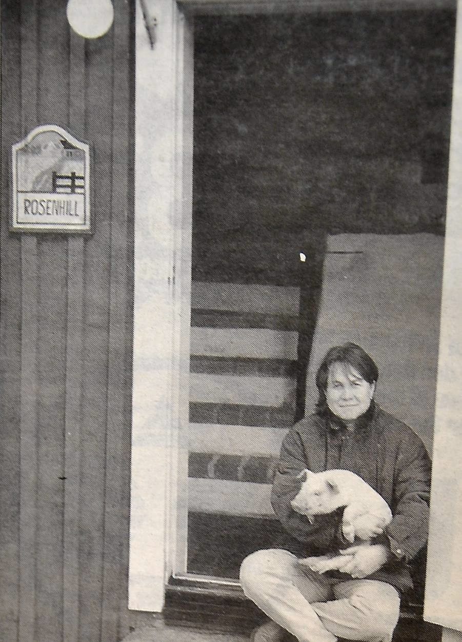 – Mycket vänligare än en gris kan man inte vara, säger Marie Birkén på Rosenhill. Foto: Patrik Berg