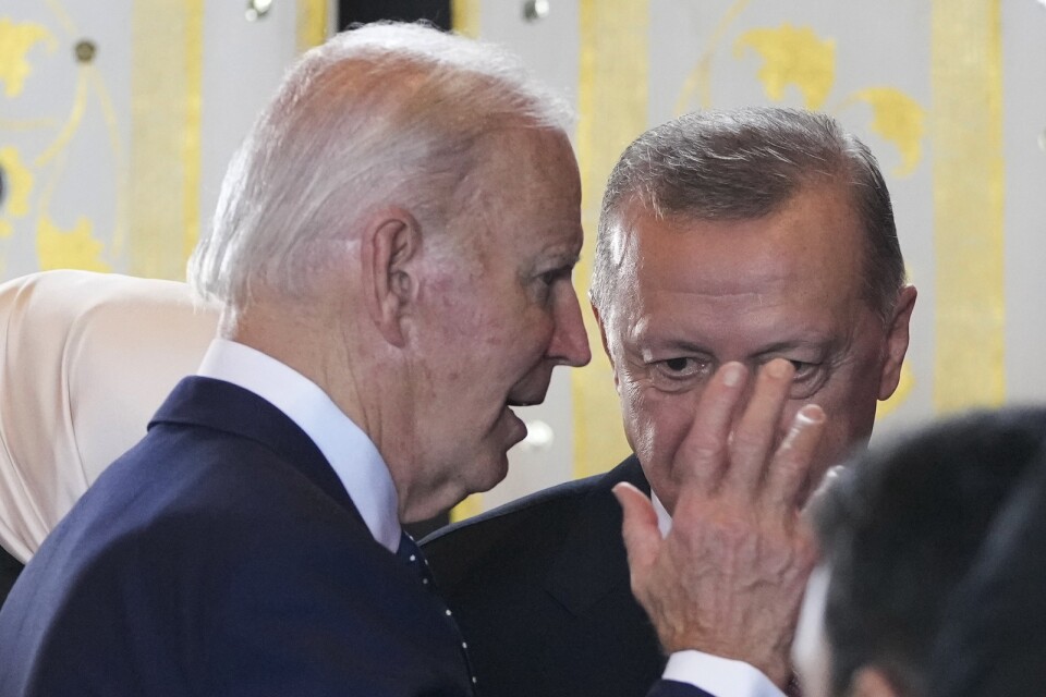 USA:s president Joe Biden i samtal med Turkiets president Recep Tayyip Erdogan under G20-mötet på Bali i november förra året.