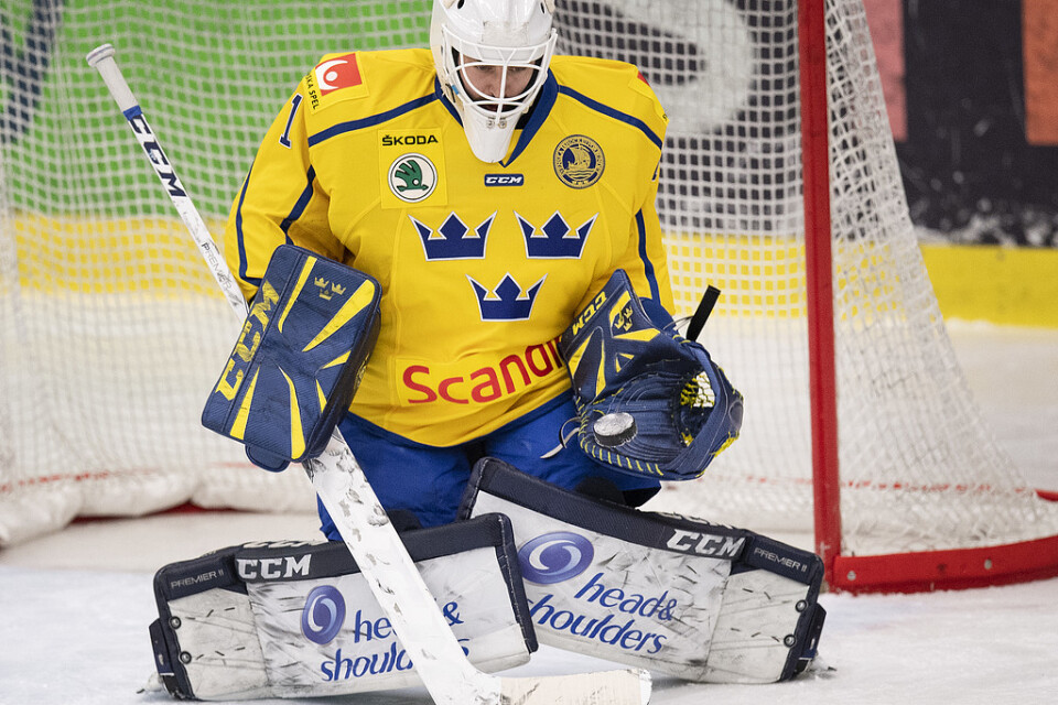 Tre Kronors Jhonas Enroth räddade 13 skott och höll nollan i 2–0-segern mot Danmark. Arkivbild.