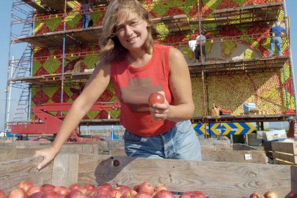 2005: Konstnären Emma Karp Lundström har tillsammans med tiotalet medarbetare skapat årets äppeltavla "Försvinnande gott".