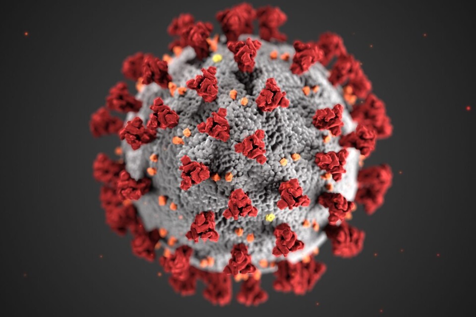 En illustration av coronaviruset.