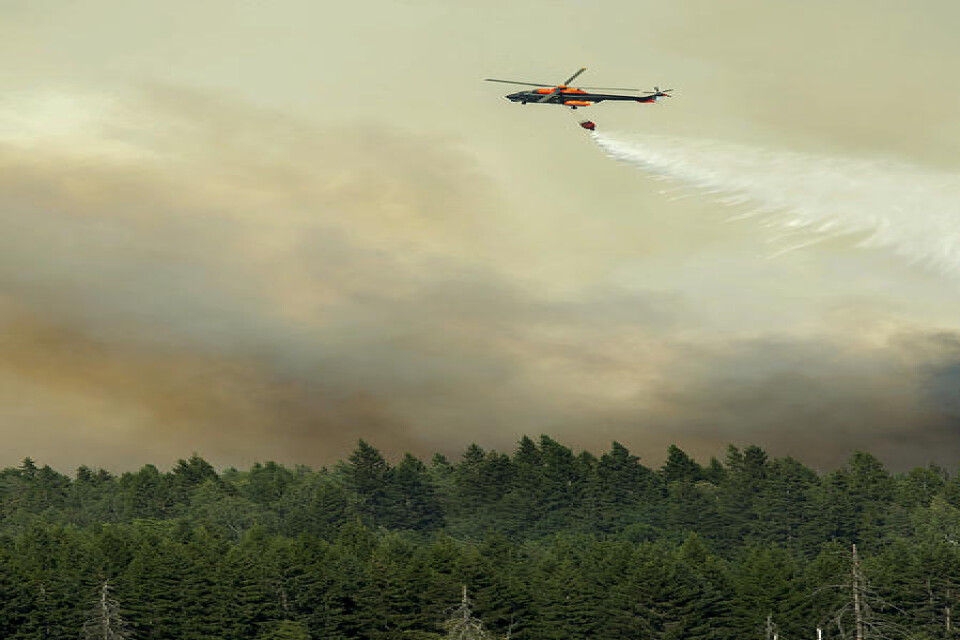 En helikopter vattenbombar utanför Gammelby i samband med skogsbranden för fem år sedan. I oktober prövas vem som ska ses som ansvarig för att branden startade. Arkivbild.