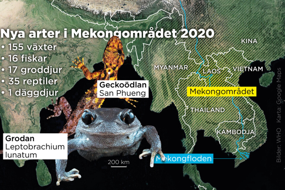 Webbkarta över Mekongområdet.