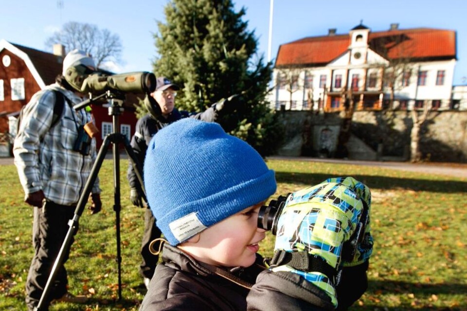 Children are welcome to watch birds at Naturum on Saturdays in April.