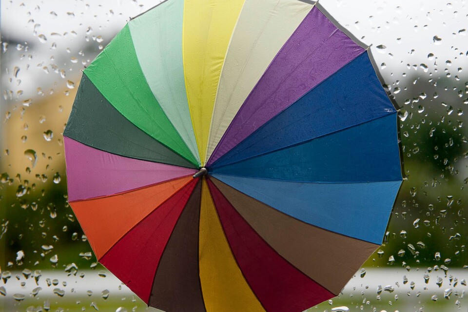 Förvänta er att paraplyerna blir det mest färggranna under årets valborgsfirande.