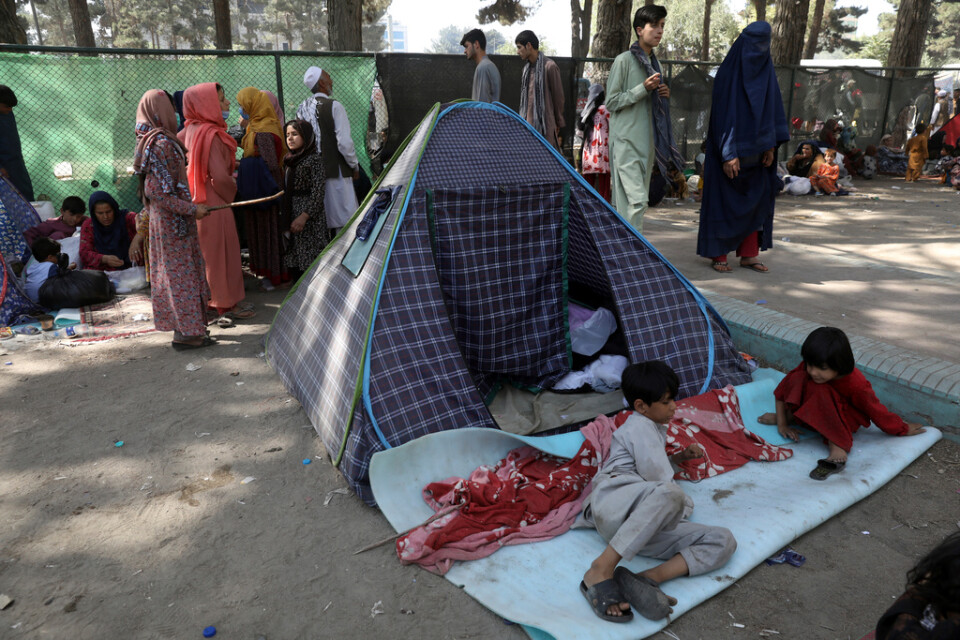 Människor som flytt Afghanistans norra provinser söker skydd i en park i Kabul.