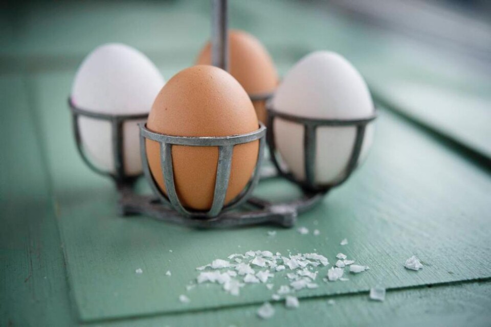 Snyggt, trendigt och med tusen variationer - nu har ägget kommit upp i smöret! Nu i påsk står ägg på nästan varje påskbord, men det finns många sätt att variera det klassiska, kokta påskägget. Ägg är ett av våra äldsta och mest basala livsmedel. Och ka