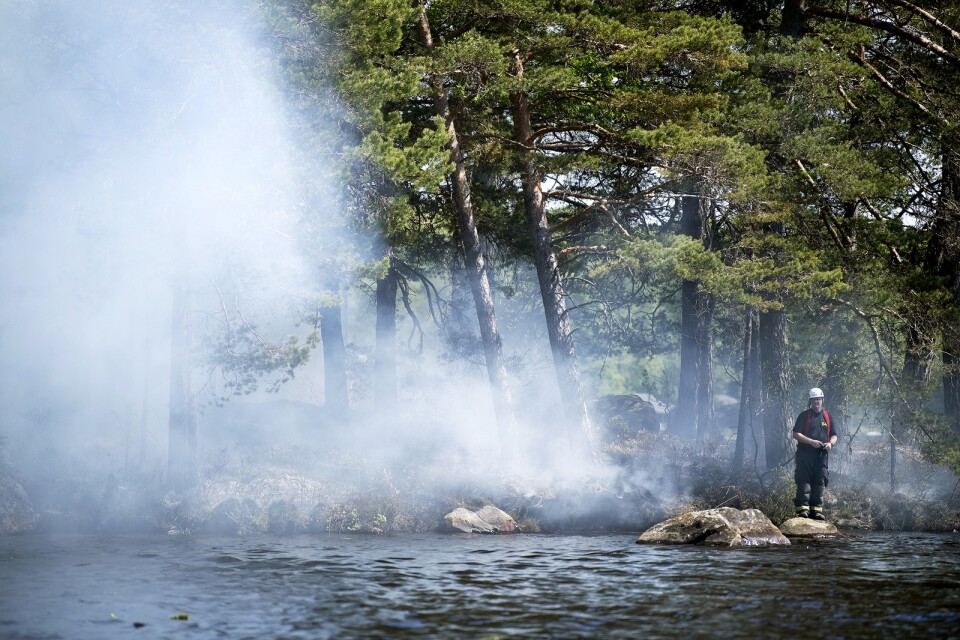 Bild från en brand på en ö i Såganässjön under måndagen.