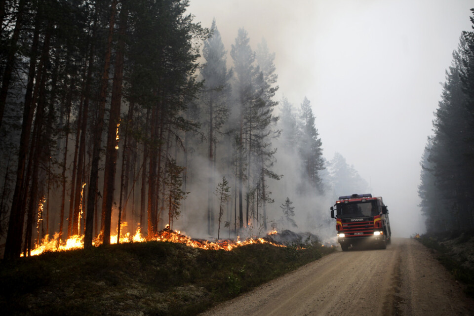 Många lärdomar har dragits sedan skogsbränderna 2018. Arkivbild.