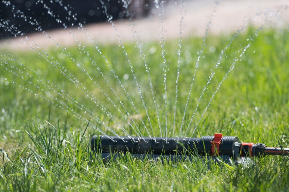En vattenspridare vattnar en villaträdgård.