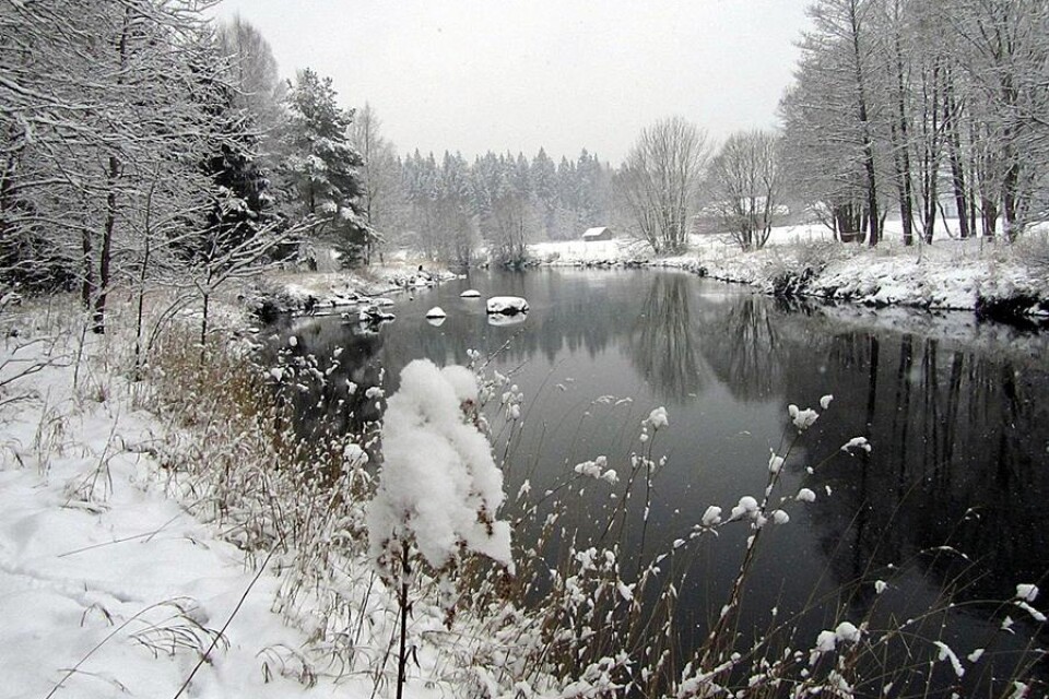 Den 8 mars blev det vinter igen. Foto: Elisabeth Kostin