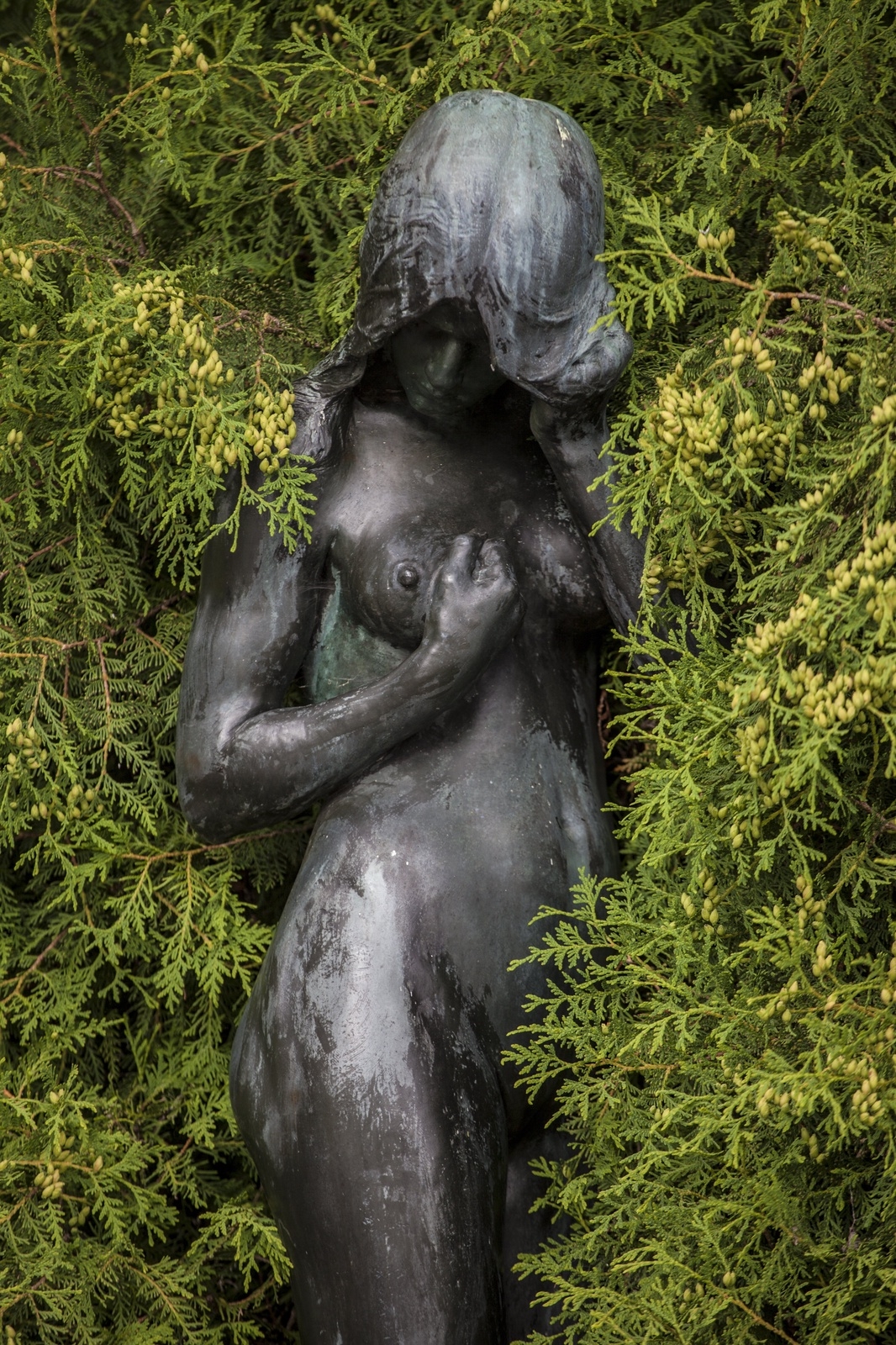 De flesta av Skandinaviens mest berömda skulptörer, som Carl Eldh, finns representerade i Rottneros Park.
