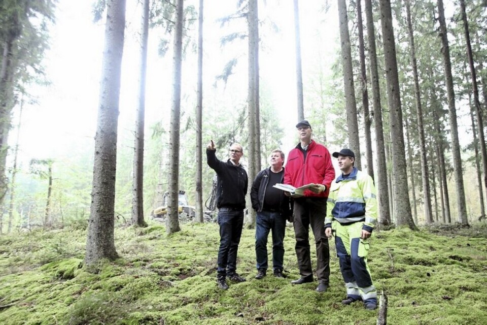 Nu avverkas mer skog på Hovdala. Träd ska återplanteras och nya entreprenörer har anlitats för att avverka 16 hektar och gallra 80 hektar Foto: Stefan Sandström