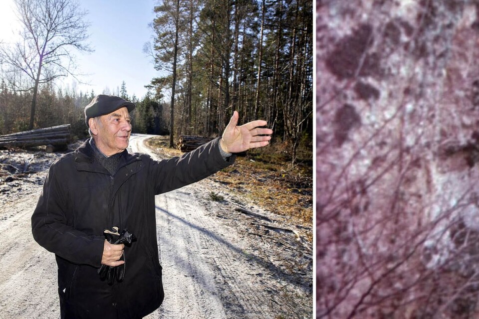 Arne hittade den dansande stenen igen – efter 50 år