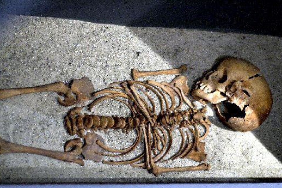 Svartbrödernas kyrkogård grävdes ut under sommaren 1996 och i utställningen ingår skelett nummer 73; ett barn på två år.