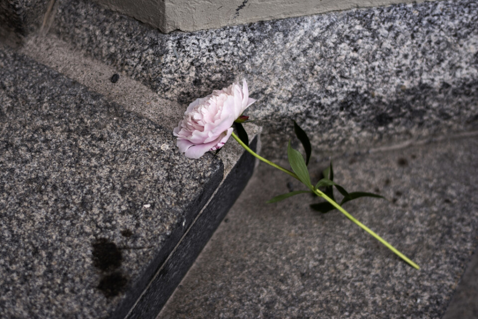 En blomma på trappen till Umeå stads kyrka i samband med minneshögtiden dagen efter flygolyckan den 14 juli 2019. Arkivbild.