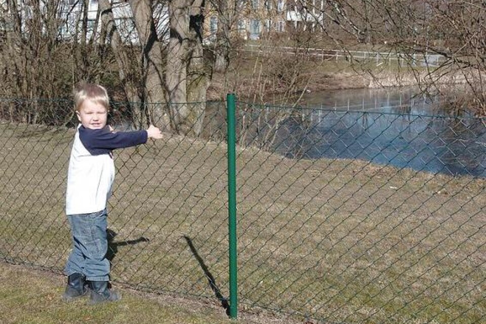 Fyraårige Isak Lindholm kan leka tryggt bakom morföräldrarnas trädgårdsstängsel. Nu vill småbarnsföräldrar i området kring Tappershus att alla barn ska ha samma trygghet för dammens djupa vatten. BILD: CLAES NYBERG
