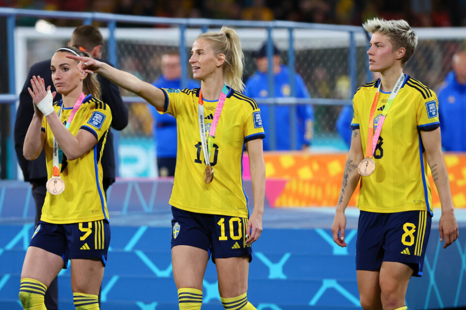 Sverige tog VM-brons i somras. Nu väntar OS-kval och Nations League. Arkivbild.