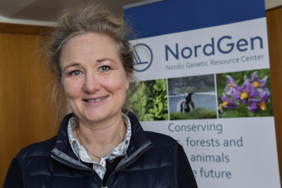 Lise-Lykke Steffensen, generaldirektör för den nordiska genbanken Nordgen som sköter driften av Svalbards globala frövalv.