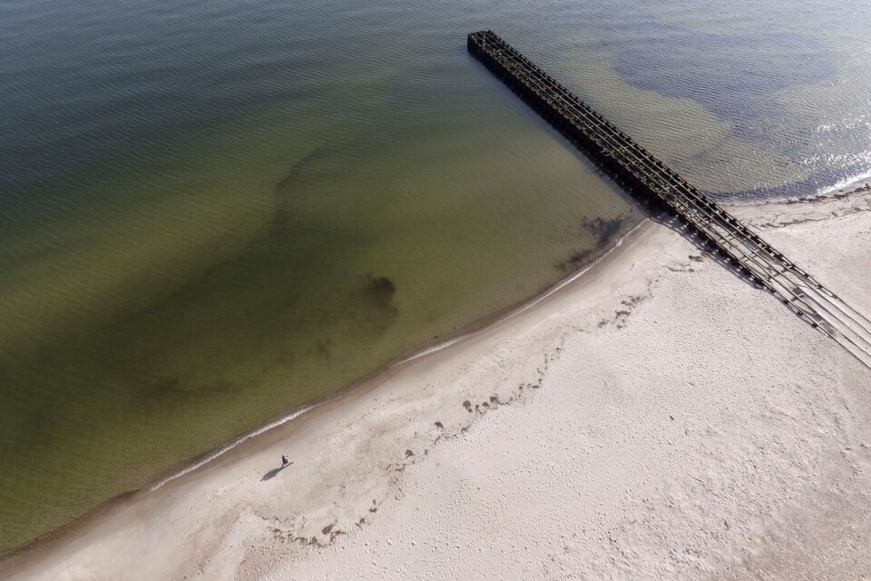 Ystad kommun har flera gånger genomfört så kallad strandfodring, att fylla på med sand från havsbotten, vid Ystad Saltsjöbad på grund av problemet med erosion. Arkivbild.