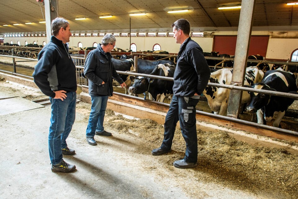 Johan, Peter och Andreas Wiström driver Wiströms Lantbruk. Företaget består av flera gårdar men Ottenby kungsgård är den till ytan största med 1400 hektar mark. Här finns också 500 mjölkkor.