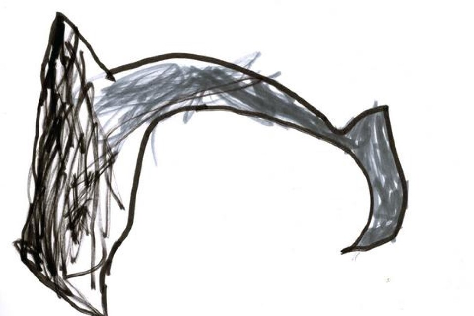 Theo Martinsson, 5 år, Lyckebo förskola i Ystad, har ritat en delfin.
