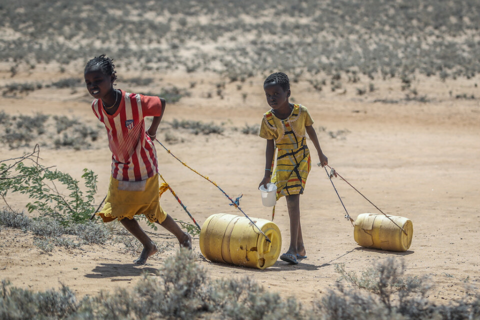 Två flickor drar vattenbehållare tillbaka till deras bostad i norra Kenya. Arkivbild.