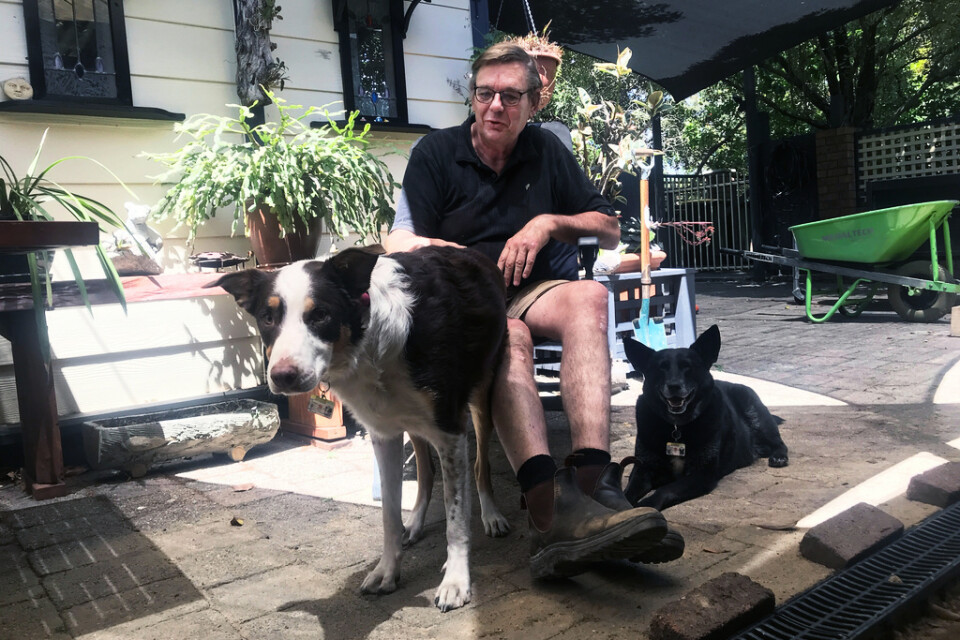 Ralf Hoffmann tillsammans med hundarna Terry och Toby (liggande).