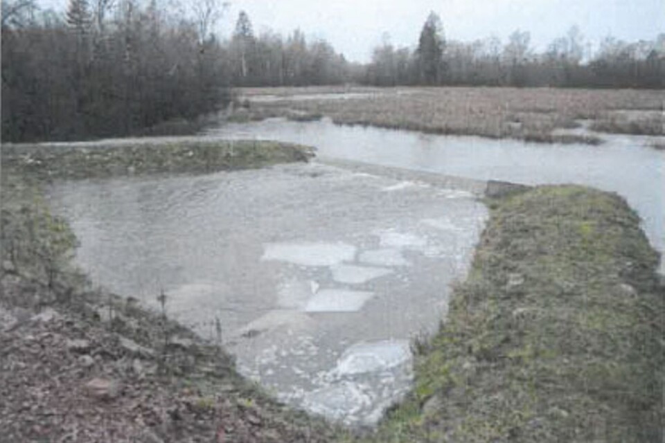 Mörbylånga kommun skulle ha sökt tillstånd för vattendämningen i Tvetaområdet. Länsstyrelsen begär att den ska tas bort och får medhåll av mark- och miljödomstolen.
