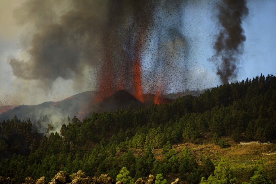 Lava skjuter upp från vulkanen Cumbre Vieja på kanarieön La Palma. Utbrottet startade på söndagseftermiddagen.