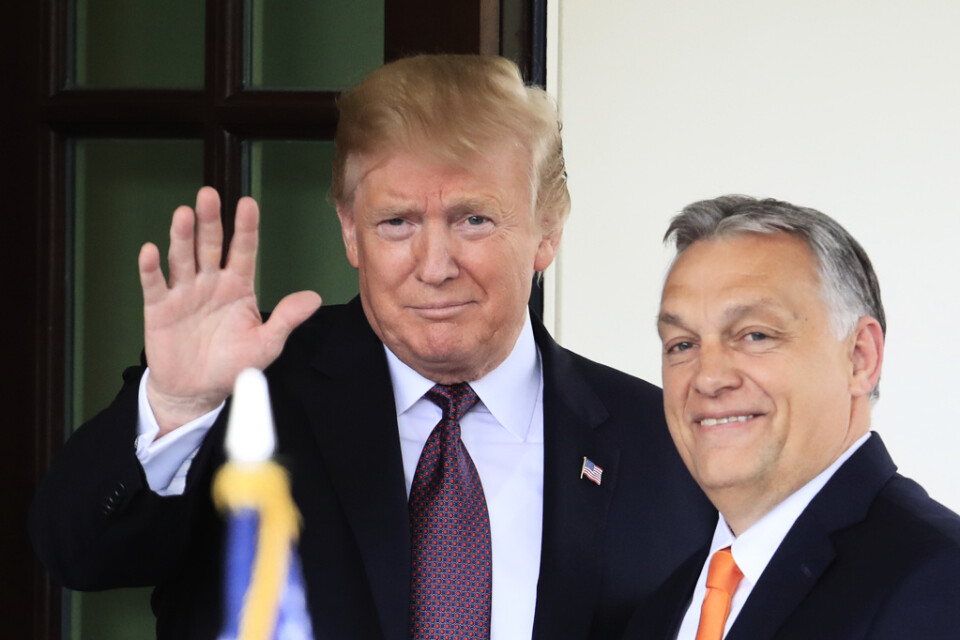 USA:s dåvarande president Donald Trump tillsammans med Ungerns premiärminister Viktor Orbán. Bilden är tagen 2019 när Trump fortfarande var president och Orbán var på besök i Vita huset.