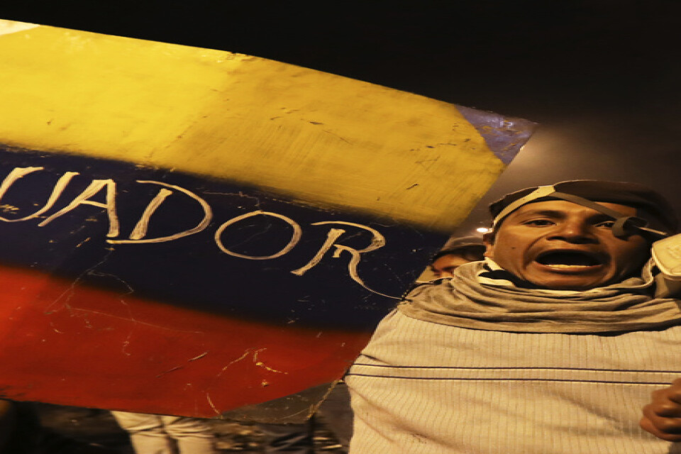 Demonstranter i huvudstaden Quito firar beskedet om att regeringen återinför bränslesubventionerna.