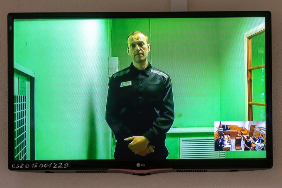 Den ryska oppositionsledaren Aleksej Navalnyj syns på en videolänk från en rättssal i ryska Kovrov den 2 september.