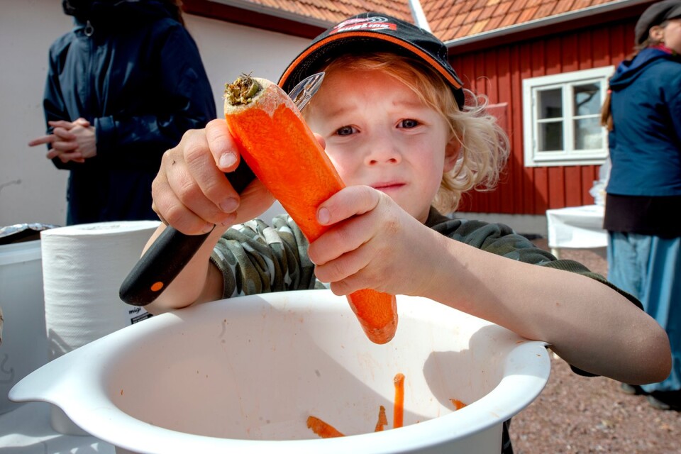 Arvid Petersson, sex år från Asarum, skalade morötter under fredagens Food jam på gården Fagraslätt.