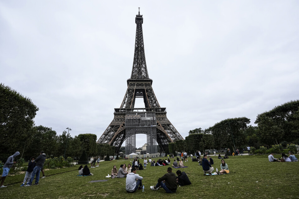 Politikernas planer på att fälla träd vid Eiffeltornet har skapat ilska i den franska huvudstaden. Arkivbild.
