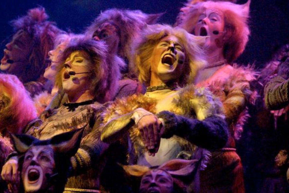Cats, från uppsättningen som spelades i Globen 2003.
