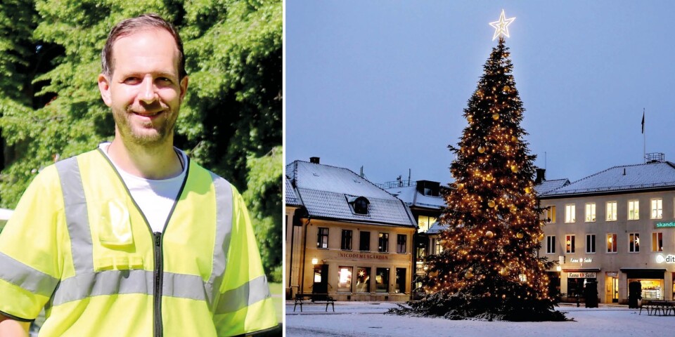 Hemliga planteringar ska säkra kommande julgranar i Kalmar