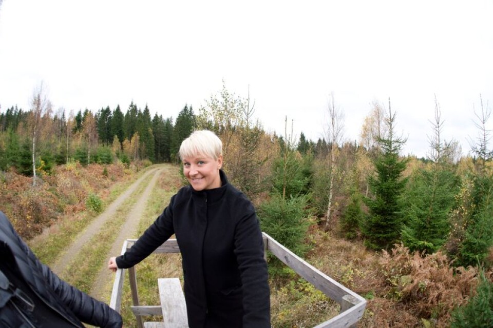 Kommunalrådet Anna Tenje vid skogsområdet som Växjö kommun kan köpa för framtida företagsetableringar.