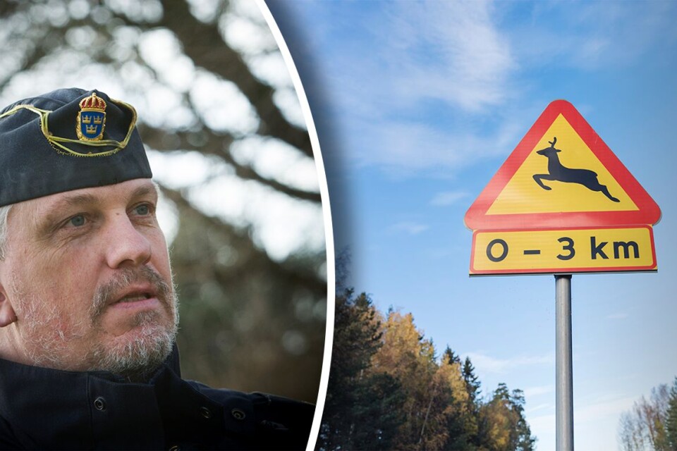 Kommunpolis Patric Nihlén påminner bilister om att anmäla viltolyckor – även om det drabbade djuret springer iväg.