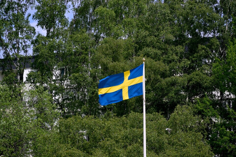 Det är på modet att vifta med svenska flaggan.