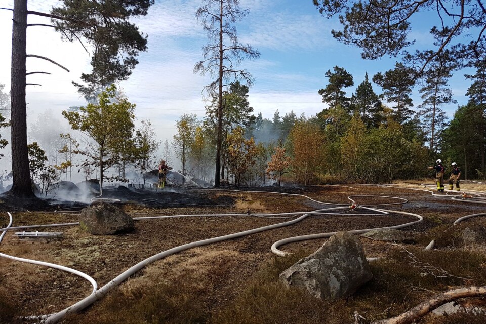 Ett 5000 kvadratmeter stort område vid gamla vattentornet i Kallinge började brinna på måndagsförmiddagen.