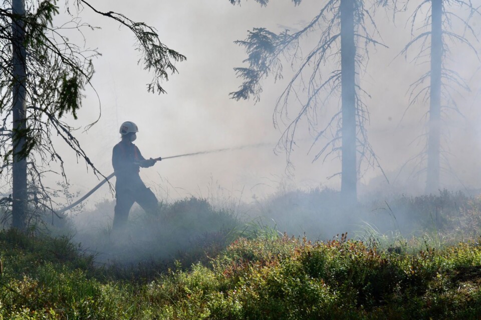 Förra söndagen bekämpade Räddningstjänsten Östra Kronoberg en skogsbrand i Hovmantorp.