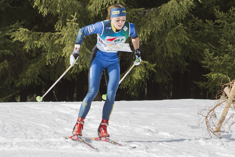 Tove Alexandersson i VM i skidorientering i Piteå i mars.