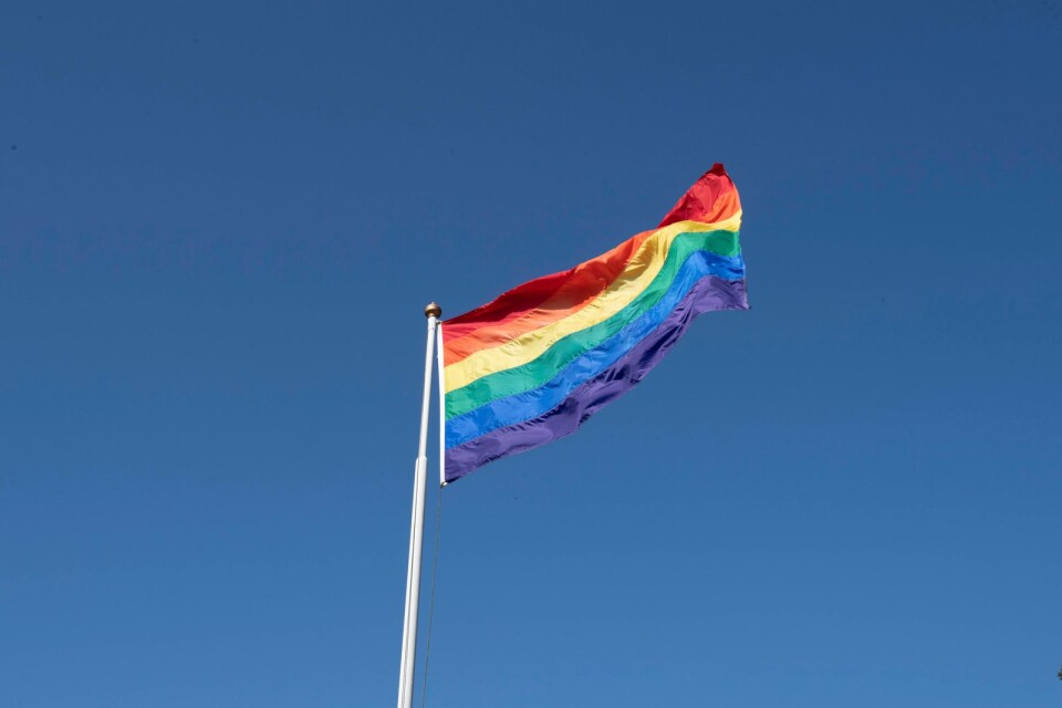 Pride flagga brukshundsklubben Frida Elofsson.