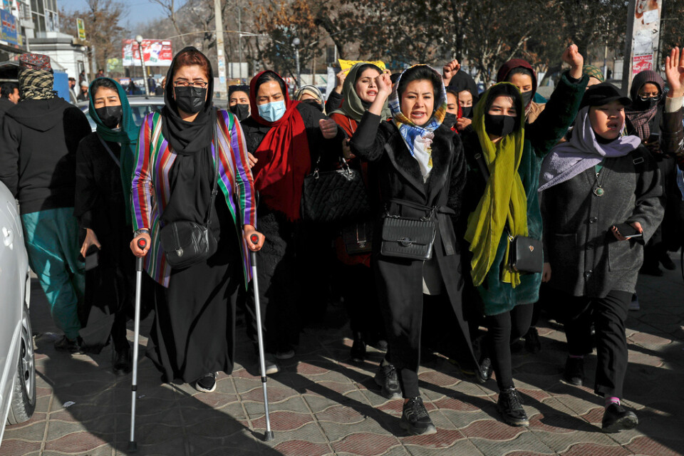 Afghanskor under en protest i december mot att talibanregimen stoppat kvinnor från landets universitet. Arkivbild.