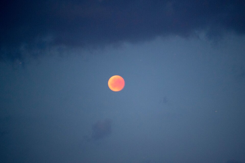 Den här bilden tog BLT:s fotograf Staffan Lindbom den 27 juni förra året. Då visade sig blodmånen senast över Blekinge. Under måndagen är det dags igen. Tar du en lika fin bild som vår fotograf, skicka den gärna till oss på adressen webb@blt.se